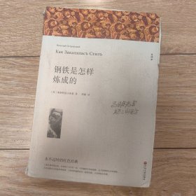 钢铁是怎样炼成的八年级下册初中生原著全译本完整版青少年中学生课外阅读小说文学世界名著