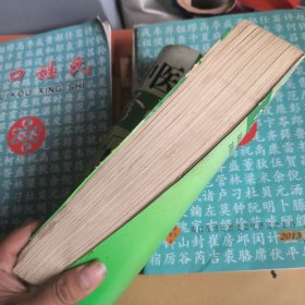 中医诊断治疗大全