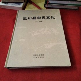 延川县李氏文化巜大16开精装版》