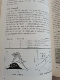 信用评分工具:自动化信用管理的理论与实践