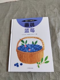 画说蓝莓 正版