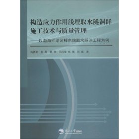 正版 构造应力作用浅埋取水隧洞群施工技术与质量管理 芮勇勤 等 著 东北大学出版社