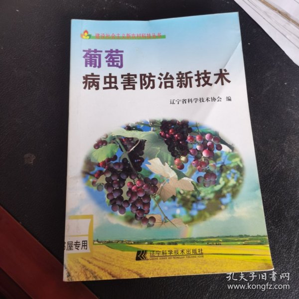 葡萄病虫害防治新技术