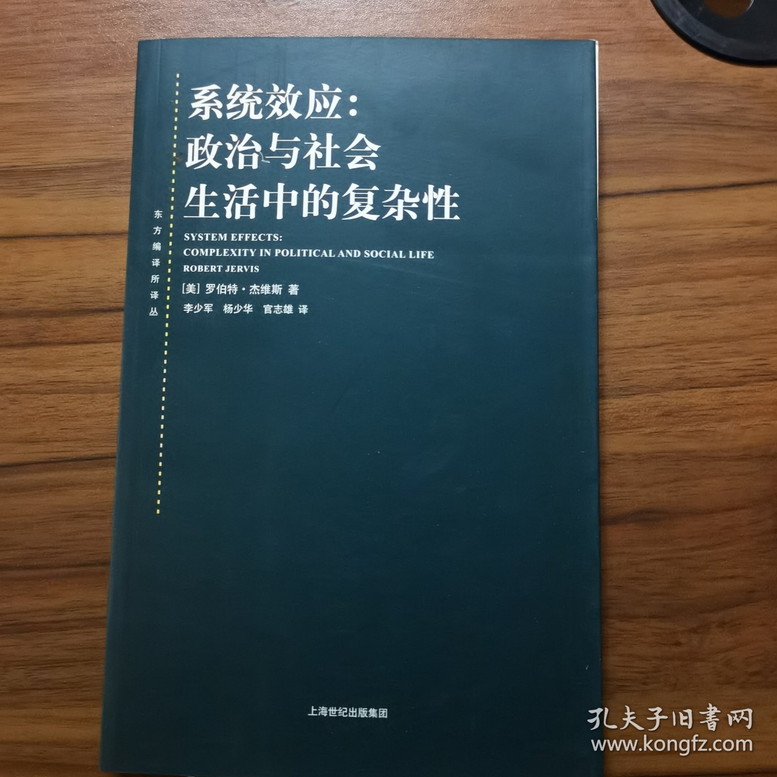 系统效应：政治与社会生活中的复杂性