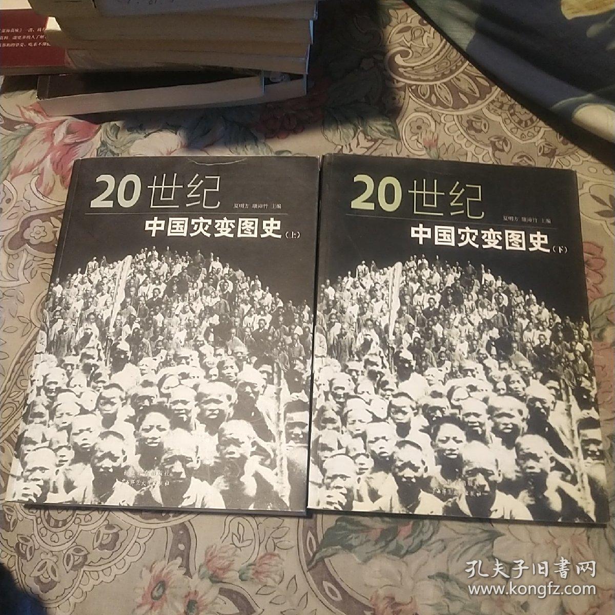 20世纪中国灾变图史（上下册）