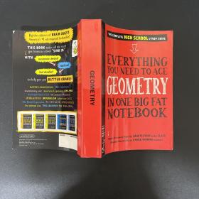 Everything You Need to Ace Geometry in One Big Fat Notebook； 美國少年學(xué)霸超級筆記：幾何 中學(xué)生參考書；英文版