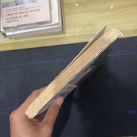 郎咸平说：谁在谋杀中国经济：附身中国人的文化魔咒