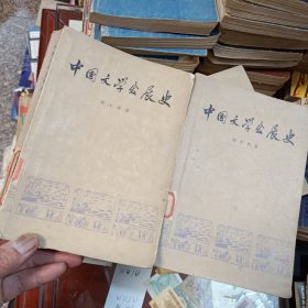 中国文学发展史 （一、二）