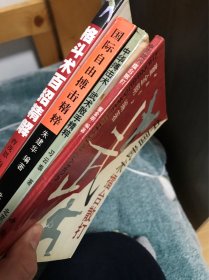 国际自由搏击精粹