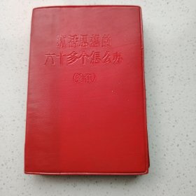 抓活思想的六十多个怎么办（选印）