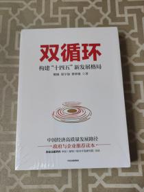 双循环构建十四五新发展格局双循环与我们的关系樊纲作品国家高端智库出品政府和企业推荐读本