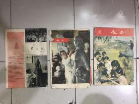 《越南》画报 （1963/5 1964/7 未知期）共计三本 220809201