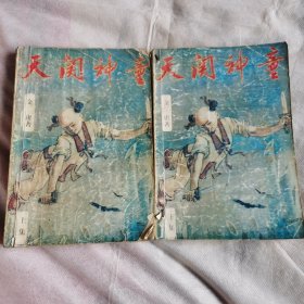 天关神童（上下册）