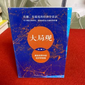 大局观：真实世界中的经济学思维【全新未开封】