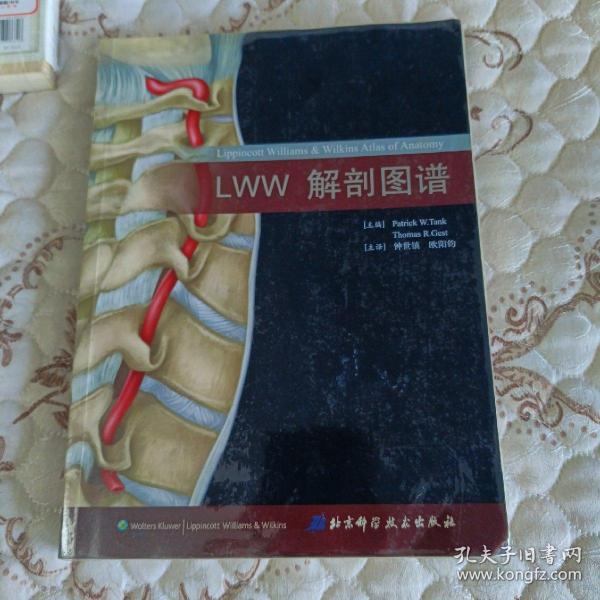 LWW解剖图谱