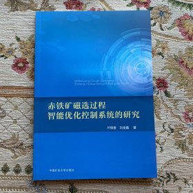 赤铁矿磁选过程智能优化控制系统的研究