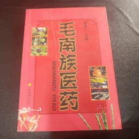 毛南族医药