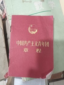 中国共产主义青年团章程 1983年