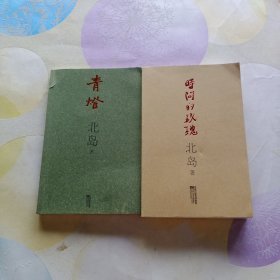 时间的玫瑰+青灯（两本）