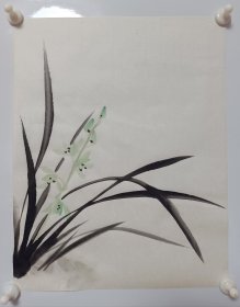 无款纯手绘水墨画兰花条幅精品字画书画写意花鸟画国画作品 33*26