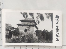 50年代北京十三陵之献陵照片