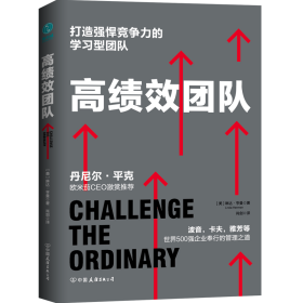 高绩效团队：打造强悍竞争力的学习型团队