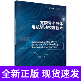 宽禁带半导体电机驱动控制技术