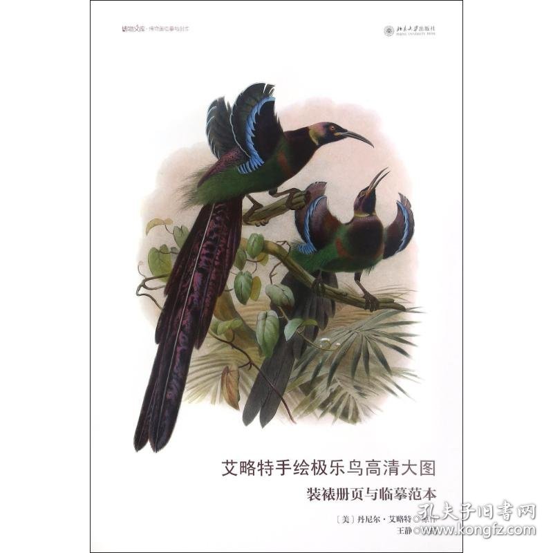 艾略特手绘极乐鸟高清大图/装裱册页与临摹范本