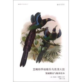 艾略特手绘极乐鸟高清大图/装裱册页与临摹范本