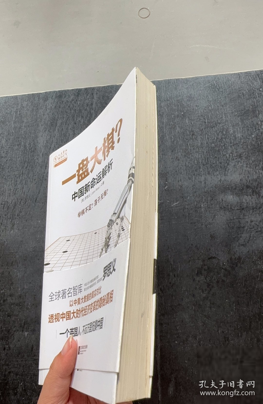 一盘大棋？中国新命运解析