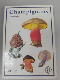 Champignons法文