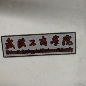 武汉工商学院  校微 08424