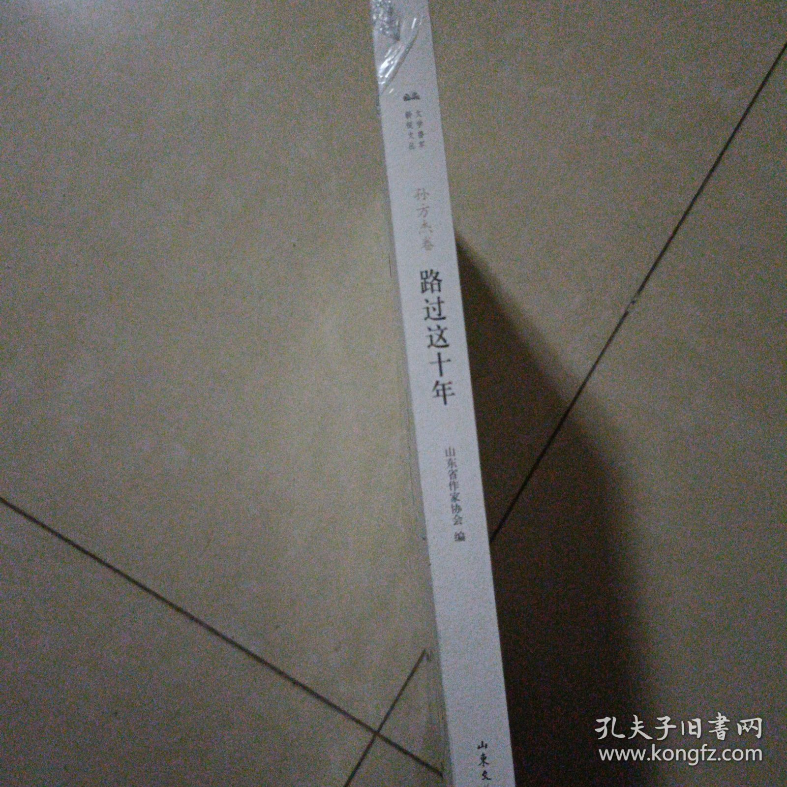 路过这十年（诗集）