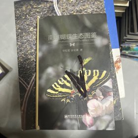 南京蝴蝶生态图鉴