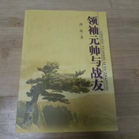 领袖元帅与战友