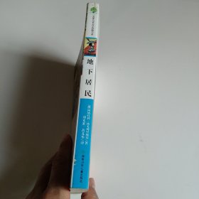 全球儿童文学典藏书系-地下居民