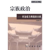 宗族政治--村治权力网络的分析