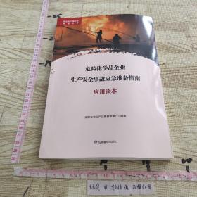 危险化学品企业生产安全事故应急准备指南应用读本/安全生产理论与政策文库