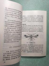 褐飞虱防治理论研究与实践  1版1印