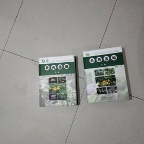 壮药选编（上下）