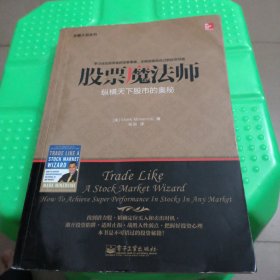 交易大师系列 股票魔法师——纵横天下股市的奥秘