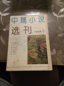 中篇小说选刊 1994年第6期