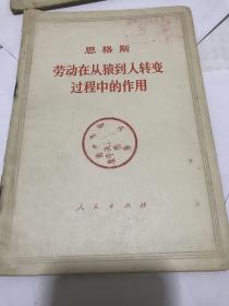 思格斯 《劳动在从猿到人转变过程中的作用》