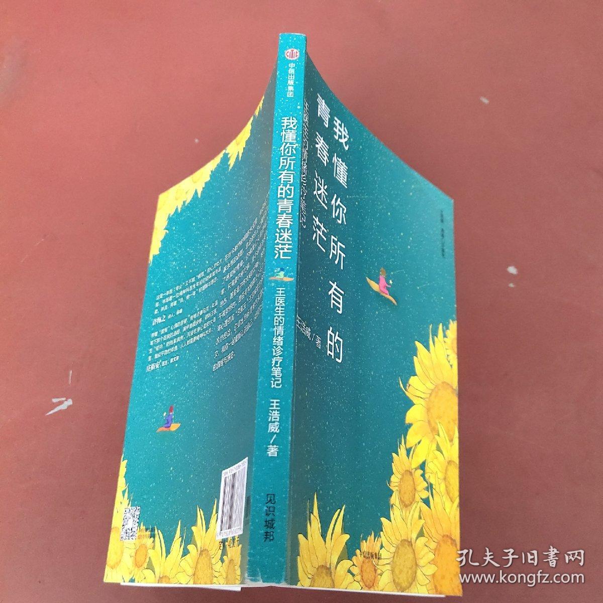 我懂你所有的青春迷茫：王医生的情绪诊疗笔记（王浩威·青春门诊系列）