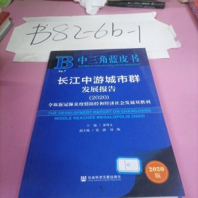 中三角蓝皮书：长江中游城市群发展报告（2020）