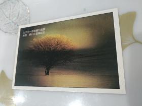 浙江摄影出版社明信片1992