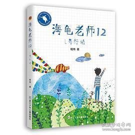 海龟老师：12L号行动