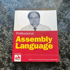 Professional Assembly Language