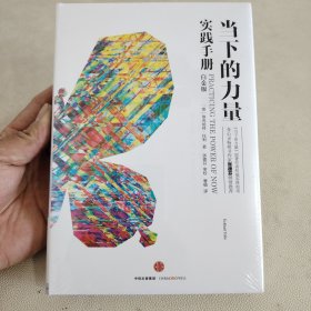 当下的力量实践手册（白金版）全新未开封