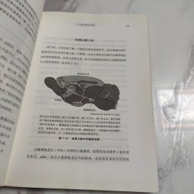 愉悦回路：大脑如何启动快乐按钮操控人的行为